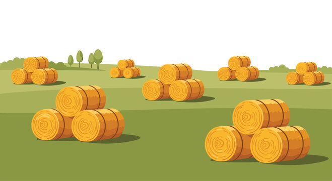 Numerous triangular stacks of three golden hay bales are meticulously distributed across a vast rolling green field under a bright and clear white sky.
