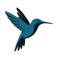 Obraz premium A vibrant hummingbird gracefully flying through the air with outstretched wings