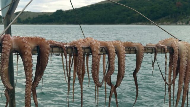 Beautiful view of drying octopus with calm turquoise sea and green hills. Cinematic footage for travel vlogs and summer vacation themes.