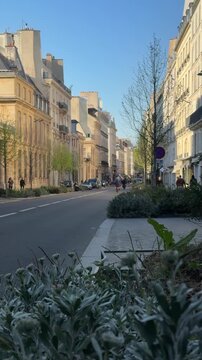 Bright urban scene. Cyclist biking along narrow city avenue in sunlight
