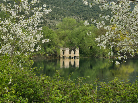 Ancient Ruins Reflected in Capodacqua Lake Surrounded by White Spring Blossoms in Capestrano, Abruzzo, Italy