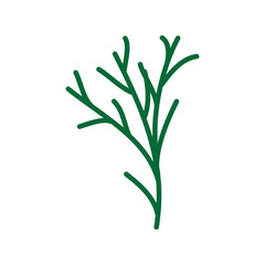 Fototapeta premium Wild and garden flowers, leaves. Modern vector botanical illustrations, hand drawn floral design elements