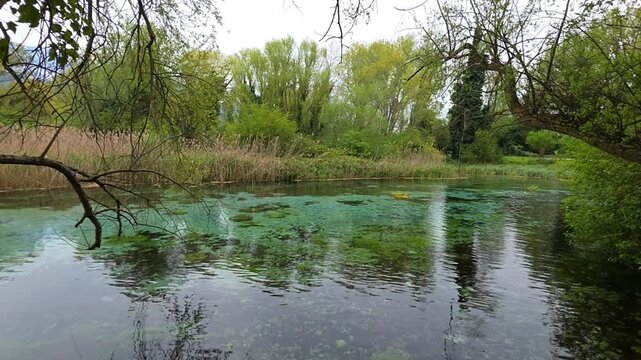 Crystal Clear Turquoise Waters and Lush Green Vegetation at Sorgenti del Pescara Nature Reserve in Abruzzo Italy