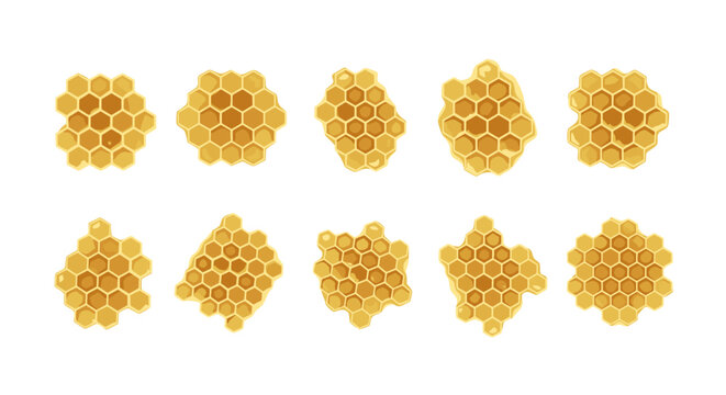 Collection of honeycombs with hexagonal pattern