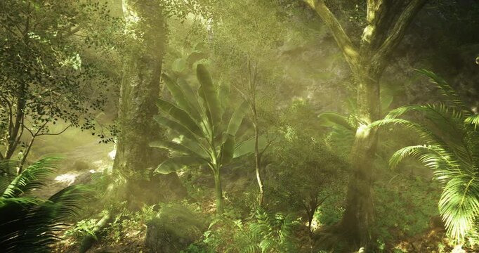 Sunlight streams through a dense rainforest canopy, illuminating vibrant green foliage. Large leaves and ferns thrive in the warm, humid environment, creating a serene atmosphere.