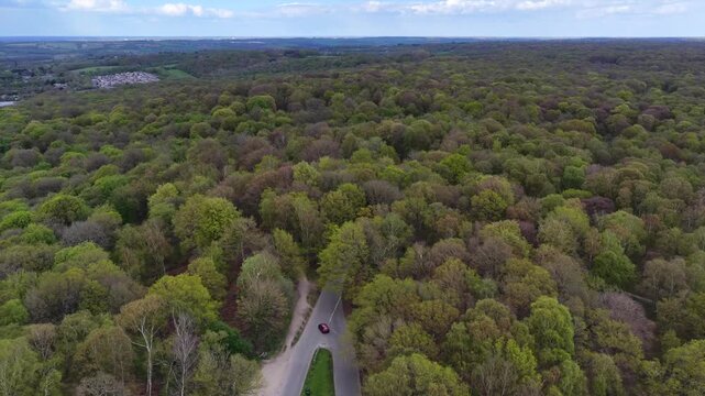 Road Leading into Trees Epping Forest Aerial 4K