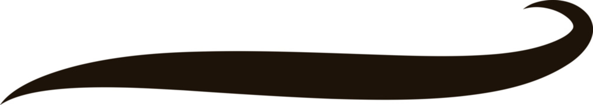 Swoosh Tail Underline Curved