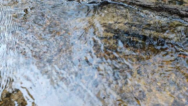 A small stream in the forest №6