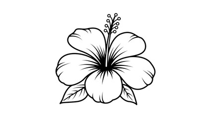 Minimalist black line vector icon illustration of a hibiscus flower on a white background, featuring hand-drawn botanical details, tropical floral outline, and clean scalable design for graphics. © NarayanChandra
