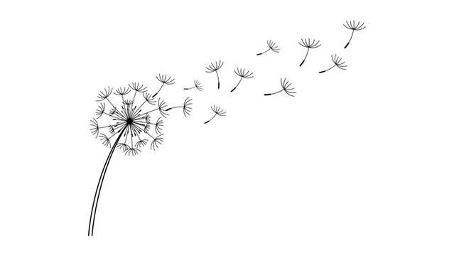 Hand-Drawn Minimalist Dandelion with Blowing Seeds Vector Icon Illustration; Clean Black Line Art on White Background with Editable Stroke for Nature, Growth, and Wellness Graphic Design.