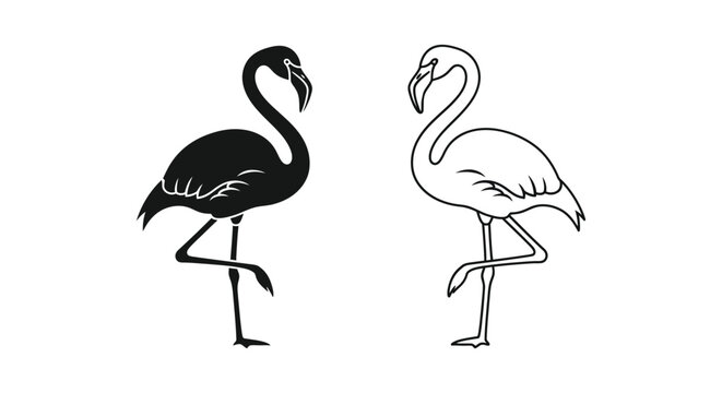 Flamingo icons, black and white flamingos, bird silhouettes, vector illustrations, 2 flamingo graphics