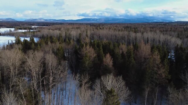 Drone panorama of a snow‑covered forest crossed by wooden power lines, framed by distant cloud‑topped mountains in Quebec&rsquo;s Matapedia Valley.