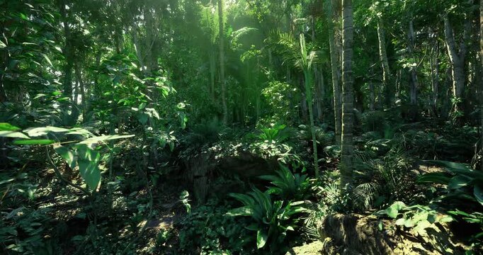 sunlit dense forest with ferns and mossy understory, sunbeams filtering through canopy, cool green atmosphere, layered vegetation and textured bark, ideal