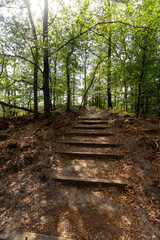 Nationaal Park de Hoge Veluwe © Andre