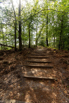 Nationaal Park de Hoge Veluwe