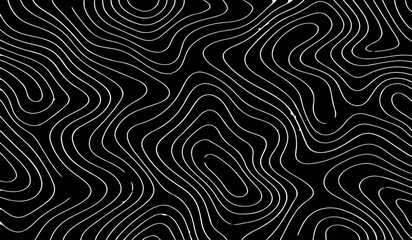 Fototapeta premium topographic contour map, abstract terrain lines, monochrome vector design, Ideal for backgrounds, posters, wallpapers.