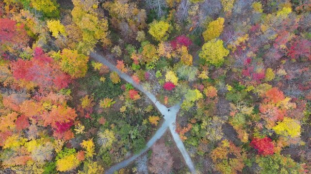 Aerial 4K drone footage of vibrant Canadian fall colors, showcasing forests, lakes, and winding landscapes painted in red, orange, and yellow autumn foliage