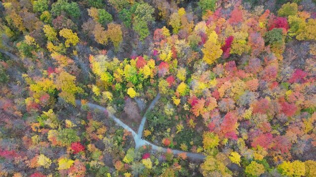 Aerial 4K drone footage of vibrant Canadian fall colors, showcasing forests, lakes, and winding landscapes painted in red, orange, and yellow autumn foliage