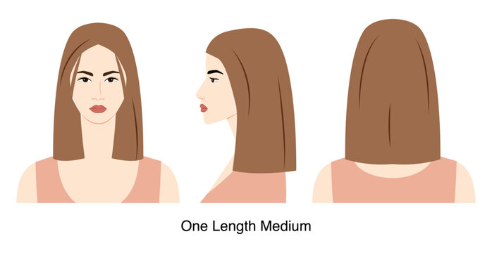 One Length Medium hairstyle vector front back profile views, straight medium hair structure for beauty salon, hairdresser reference, fashion illustration, hairstyle selection system