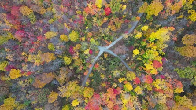 Aerial 4K drone footage of vibrant Canadian fall colors, showcasing forests, lakes, and winding landscapes painted in red, orange, and yellow autumn foliage