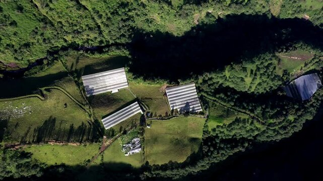 Aerial top view of a few greenhouses with a plastic polyethylene covering amongside meadows and patches of forest