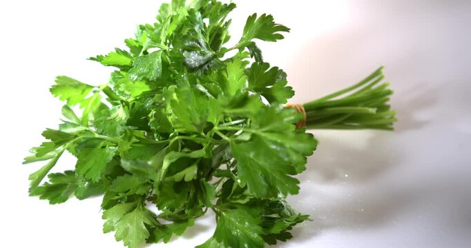 Studio Lighting Accentuates Vibrant Green Shades Of Parsley And Wet Leaves