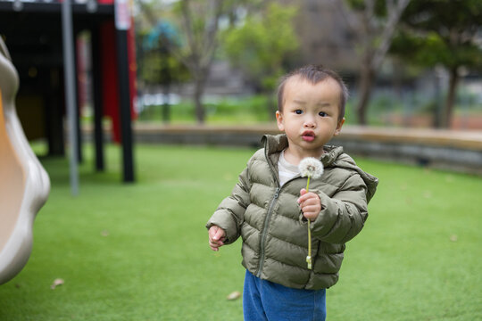 Cute baby enjoying dandelion blowing in park