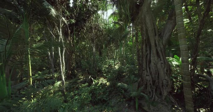 Vibrant ecological forest floor, Ecologically rich layered forest ground environment, Abundant plant debris and moss covering diverse microhabitats present