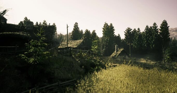 sunkissed grass and distant cottages beneath tall pines, gentle slope and golden tones suggest quiet afternoon harvest or nature walk, high texture detail