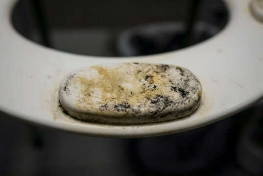 Close-up of a rubber toilet seat bumper yellowed and stained with stubborn grime