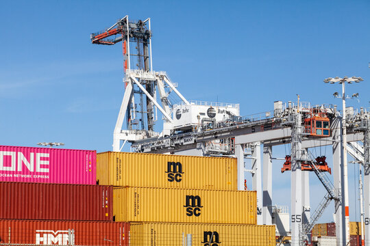Brightly colored ONE, MSC, and HMM containers stacked beneath cranes at the Port of Oakland