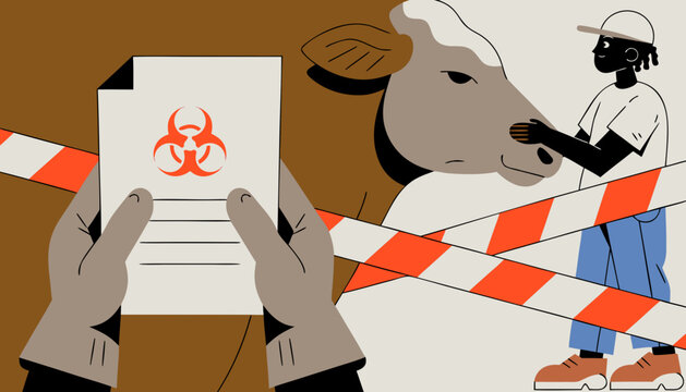 Close up split hands holding biohazard notice with suspected Foot-and-Mouth Disease infection and person interacting with cow behind barrier, emphasizing agricultural safety and health protocols