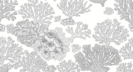 Black and white coral reef illustration for coloring book page © Rendi