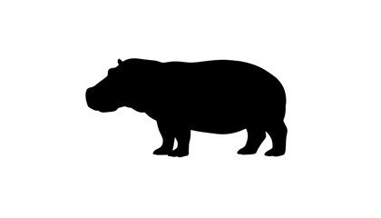 Fototapeta premium black flat vector silhouette of a hippopotamus on isolated white background