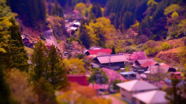 名物の桜で賑わう里