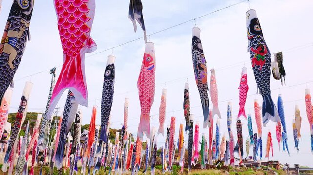 川の上に飾られた無数の鯉のぼりと春の青空（端午の節句）
