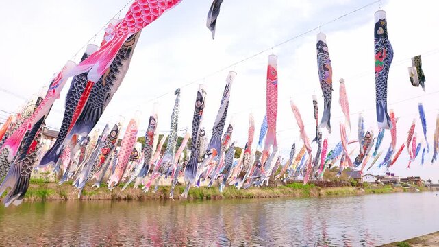 川の上に飾られた無数の鯉のぼりと春の青空（端午の節句）