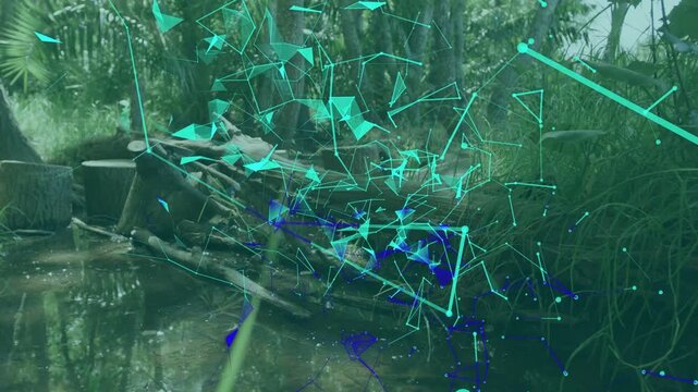 Teal particle network growing over pond, tech visualization starting, nodes connecting and pulsing