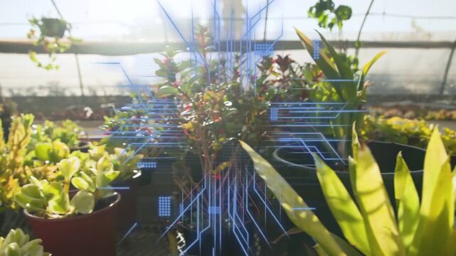 Clustered plants and cactus on greenhouse bench, overlay emerging and scanning pots with tech grid