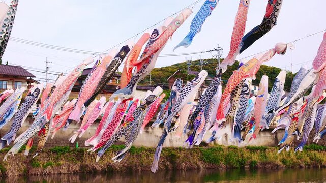 川の上に飾られた無数の鯉のぼりと春の青空（端午の節句）