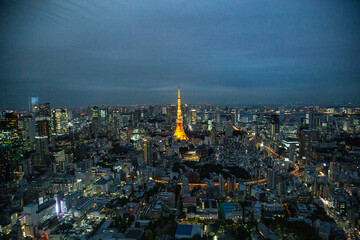 Naklejka premium Skyline view in Tokyo, Japan