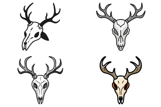 Deer Skull Vector Illustration - Animal Skeleton Head Art