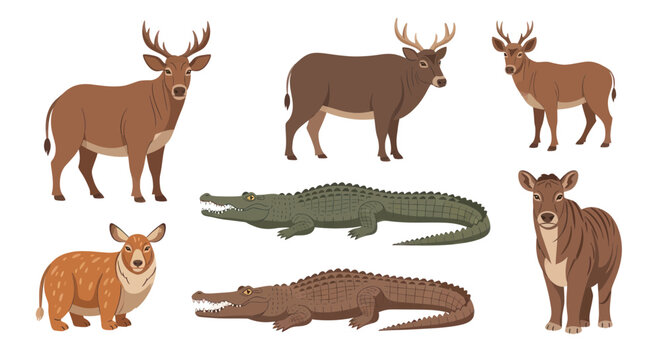 Collection of Diverse Animals: Deer, Alligators, and a Small Mammal