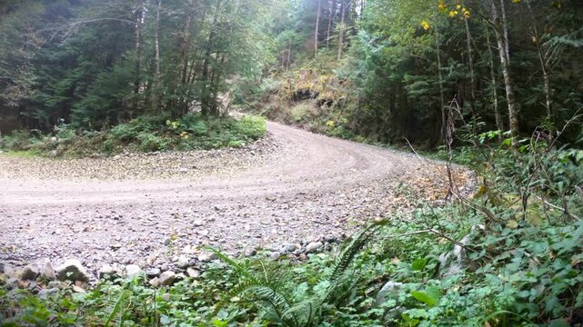 Black dually truck backing down a steep hill in the forest