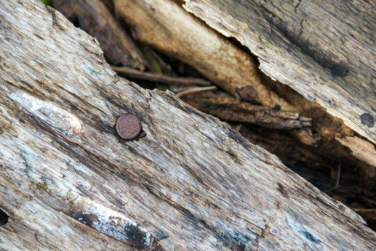 Wooden surface with rusty nails and open cracks
