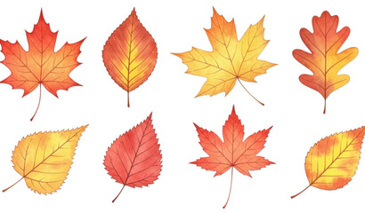 Fototapeta premium Vector Set of Autumn Leaves in Orange and Yellow for Fall, Seasonal, and Nature Designs