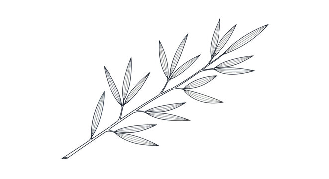 Delicate bamboo leaves line art illustration