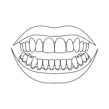 A set of teeth and lips Vector, illustration