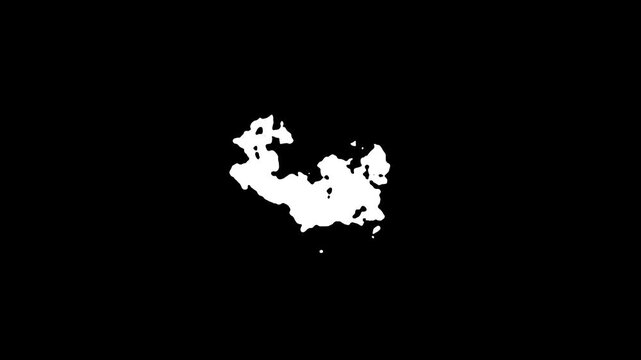 White smoke ink cloud burst, flowing liquid paint effect, abstract dark bloom animation, cinematic transition overlay, grunge artistic motion, fluid ink spread, black background 4k video.
