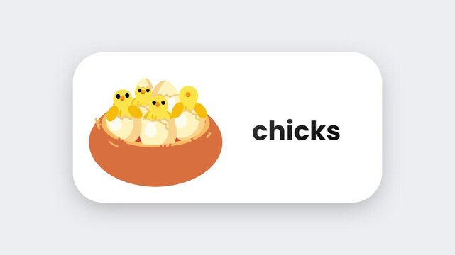 A group of three fluffy yellow baby chicks sitting together in a nest representing farm animals or spring on a white rounded badge